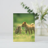 Carte Postale amour du chien (Debout devant)