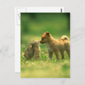 Carte Postale amour du chien (Devant / Derrière)