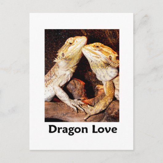 Carte Postale amour du dragon (Devant)