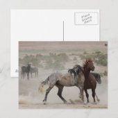 Carte Postale Amour dur (Devant / Derrière)