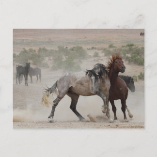 Carte Postale Amour dur