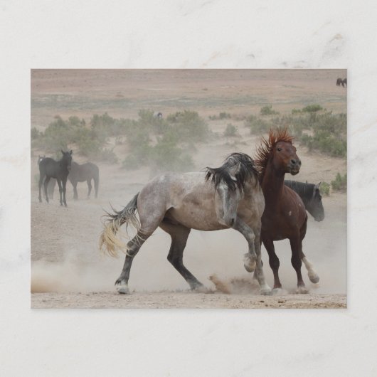 Carte Postale Amour dur (Devant)