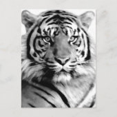 Carte Postale Amour et courage_ (Devant)