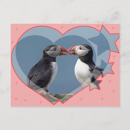 Carte Postale Amour et oiseaux (Devant)