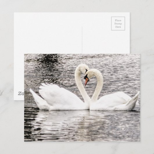 Carte Postale Amour éternel (Devant / Derrière)