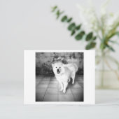 Carte Postale Amour Fidèle (Debout devant)