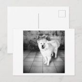 Carte Postale Amour Fidèle (Devant / Derrière)