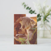 Carte Postale Amour Koala (Debout devant)