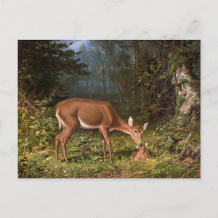 Carte Postale "Amour maternel" Mère et Cerf de Bébé