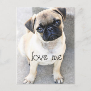 Carte Postale amour-moi - mignons serres