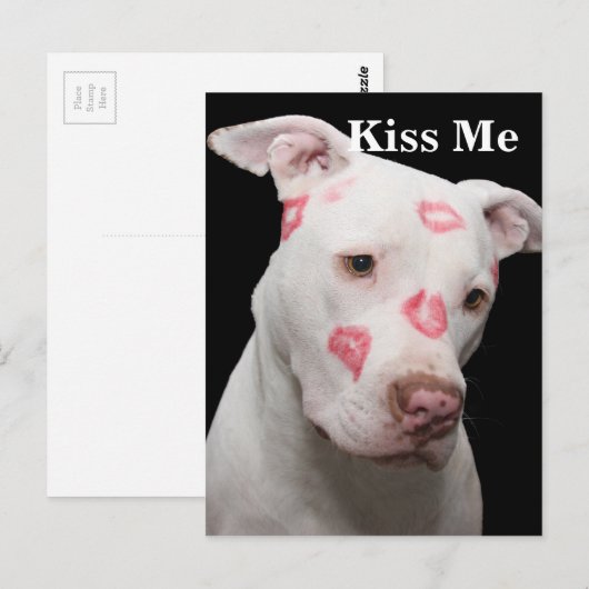 Carte Postale Amour Pitbull modifiable (Devant / Derrière)