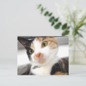 Carte Postale Amoureux (Debout devant)