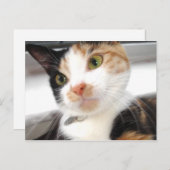 Carte Postale Amoureux (Devant / Derrière)