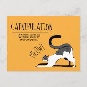 Carte Postale Amoureux de les chats de catapulation Meow Design