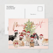 Carte Postale Amoureux de les chiens de Noël Joyeux Père Noël (Devant / Derrière)