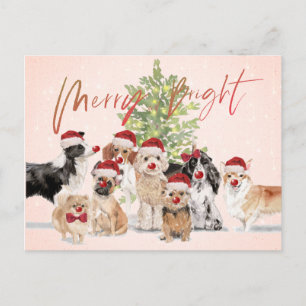 Carte Postale Amoureux de les chiens de Noël Joyeux Père Noël