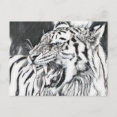 Carte Postale amoureux des animaux de tigres mignons (Devant)