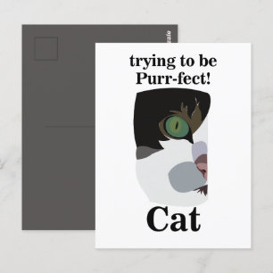 Carte Postale Amoureux des chats drôle