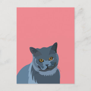 Carte Postale Amoureux des chats gris bleu