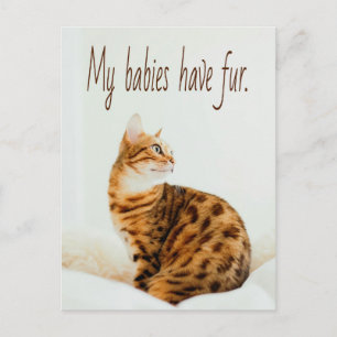 Carte Postale Amoureux des chats, mignon Kitten mème, mes bébés