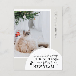 Carte postale Amoureux des chats simple photo
