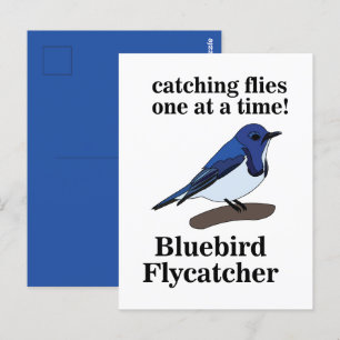 Carte Postale Amoureux des oiseaux bleus amusant