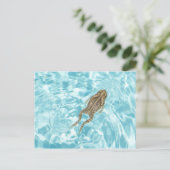 Carte postale amphibie 01 (Debout devant)