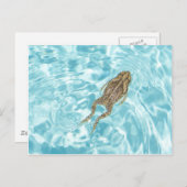 Carte postale amphibie 01 (Devant / Derrière)