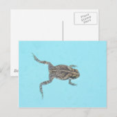 Carte postale amphibie 02 (Devant / Derrière)