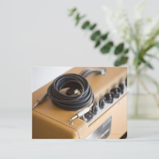 Carte Postale Ampli et câble (Debout devant)