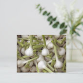 Carte Postale Ampoules d'ail (Debout devant)