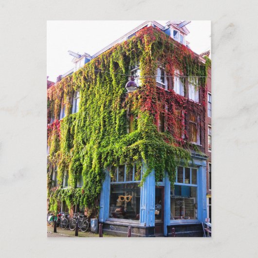 Carte Postale Amsterdam Autumn Vines Architecture (Devant)
