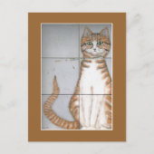 Carte postale Amsterdam Cat (Devant)