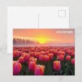 Carte Postale Amsterdam Pays-Bas Dutch Tulips Voyage Photo (Devant / Derrière)