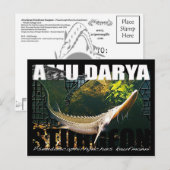 Carte postale Amu Darya Sturgeon (Devant / Derrière)