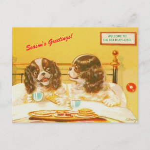 Carte Postale Amusant Cocker Spaniels dans le lit Vintage copie