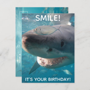 Carte Postale Amusant grand requin blanc Anniversaire