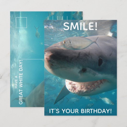 Carte Postale Amusant grand requin blanc Anniversaire (Devant / Derrière)