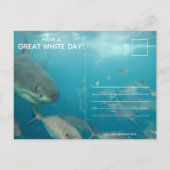 Carte Postale Amusant grand requin blanc Anniversaire (Dos)