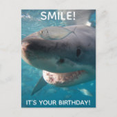 Carte Postale Amusant grand requin blanc Anniversaire (Devant)