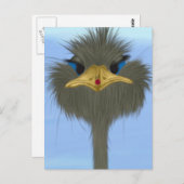 Carte Postale Amusant Ostrich George Et Mignonne Ladybug (Devant / Derrière)