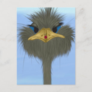 Carte Postale Amusant Ostrich George Et Mignonne Ladybug