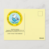 Carte Postale Amusant splash Étourneau d'été Fête à la piscine (Dos)