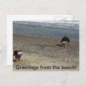 Carte postale amusante (Devant / Derrière)