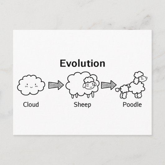 Carte Postale Amusante évolution des nuages en mouton et caniche (Devant)