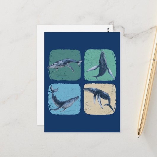 Carte Postale Amusante observation des baleines à bosse (Devant/Arrière en situation)