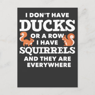 Carte Postale Amusante plaisanterie d'écureuil Humour de rongeur