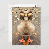 CARTE POSTALE AMUSEMENT ANIMAL (Devant / Derrière)