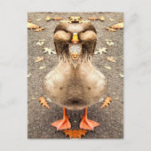 CARTE POSTALE AMUSEMENT ANIMAL (Devant)