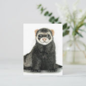 Carte Postale Amusement de furet ! (Debout devant)
